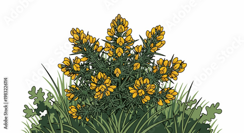 A vibrant depiction of a blooming yellow gorse bush with lush green foliage