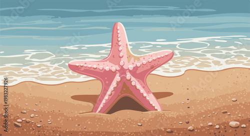 A pink starfish is half-buried in the sand on a beach with gentle waves