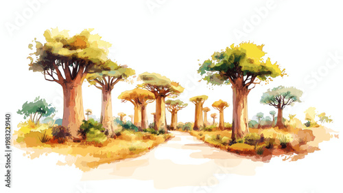 Avenue of the Baobabs. Avenue of the Baobabs hand drawn watercolor illustration on white background