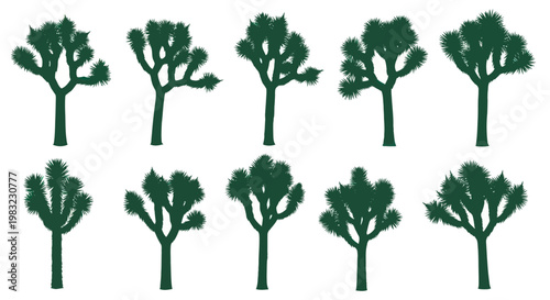 Cuadro en lienzo Collection of Silhouette Joshua Trees, Desert Flora, Vector Graphics