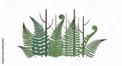 Delicate fern fronds unfurl amidst a stylized forest of bare trees