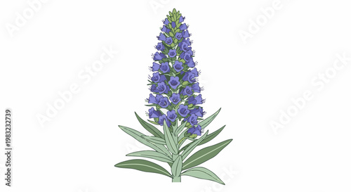 Vibrant blue floral spike with green leaves and stem
