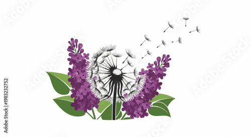 Purple lilac flowers and a dandelion with seeds blowing in the wind