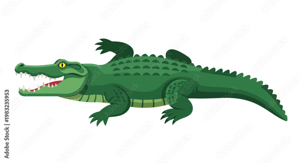 Fototapeta premium Green Alligator Cartoon Illustration, Wildlife Reptile, Open Mouth, Sharp Teeth, White Background
