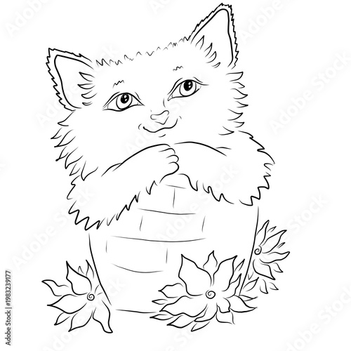 vector illustration of a cat