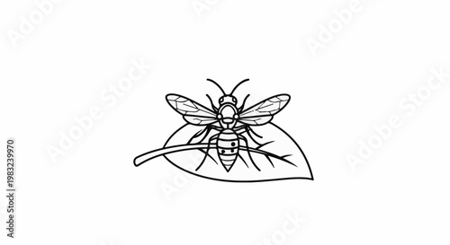 Black and white line art of a wasp resting on a leaf