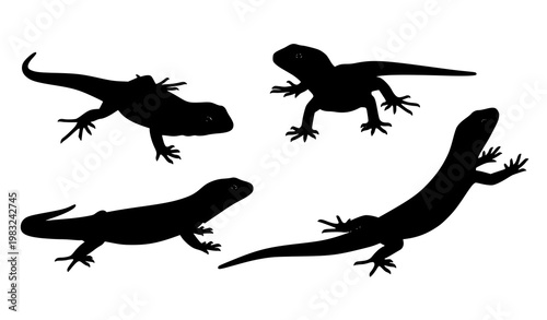 Lizard silhouette vector set dynamic reptile poses wildlife illustration