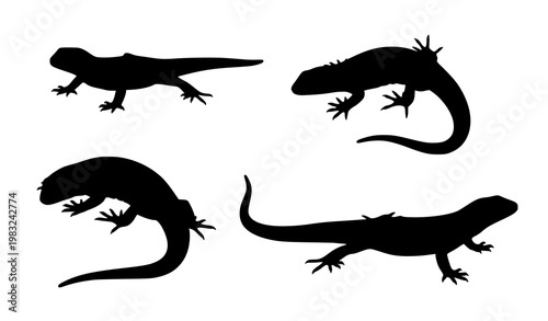 Lizard silhouette vector set dynamic reptile poses wildlife illustration