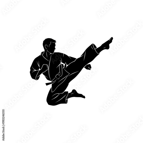 Man Performing Martial Arts Kick Silhouette.