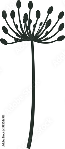 Elegant flat plant silhouette with a tall stem and clustered seed head