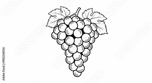 Black and white illustration of a bunch of ripe grapes with leaves