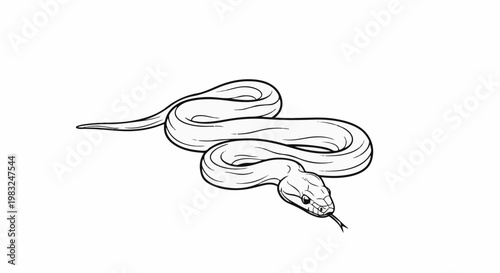 Black and white illustration of a coiled snake with its tongue flicking