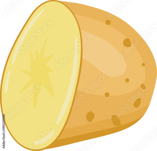 Potato half vector illustration representing a common healthy cooking food ingredient