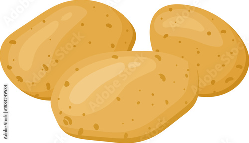 Three raw potatoes are providing ingredients for cooking and nutrition