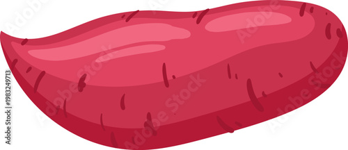 Sweet potato illustration representing healthy food and agriculture