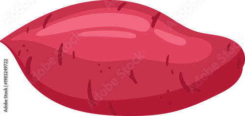 Red sweet potato tuber on white background, representing healthy eating