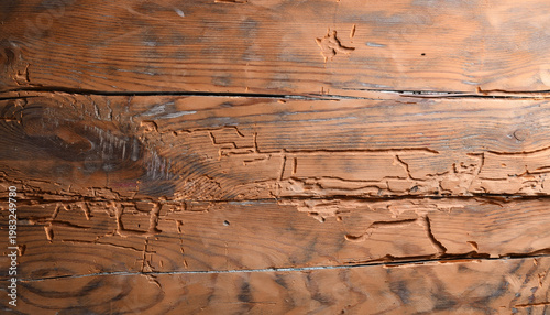 Cuadro en lienzo Old wood texture damaged by wood-boring beetles and larvae.