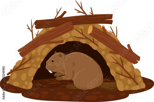 Beaver living in its strong shelter built from sticks, mud, and logs