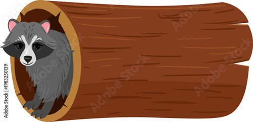 Raccoon peeking from inside a hollow wooden log on a white background