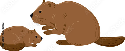 Two beavers, an adult and a kit, showing wildlife family concept