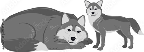 Two wild wolves in a flat illustration style, one resting and one standing