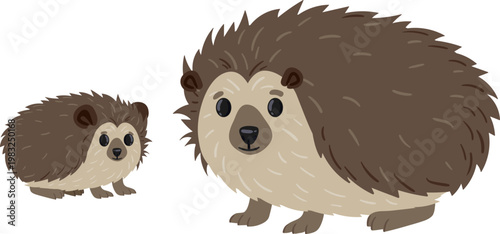 Cute hedgehog adult and young creature standing on a white background