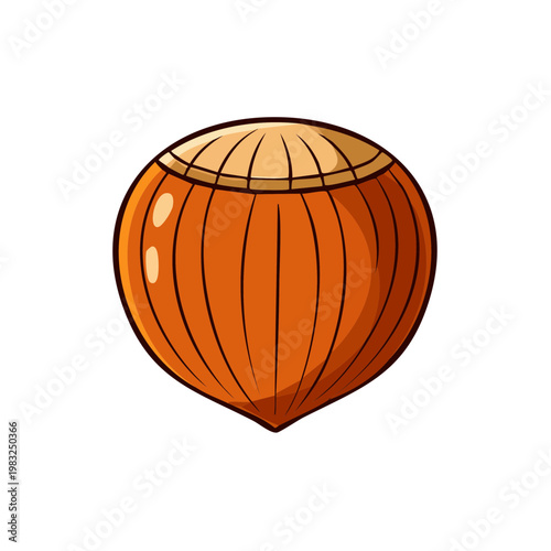 Single Hazelnuts Shell Food Ingredient Natural Brown Whole Nut Isolated