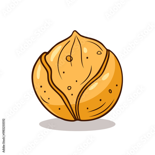 Isolated Drawing of a Single Hazelnuts with Shell and Nut Inside Graphic Illustration