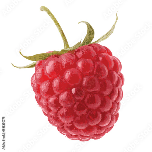 Juicy Raspberry: A close-up shot of a ripe, succulent raspberry, showcasing its vibrant red color and delicate texture, a symbol of fresh and natural ingredients.