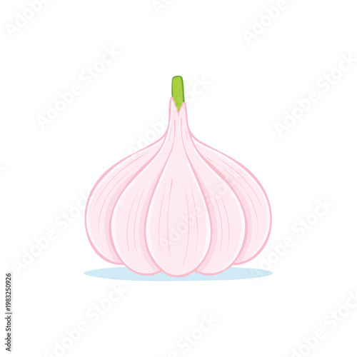Illustration of a whole pink garlic bulb with a green stem on a white background