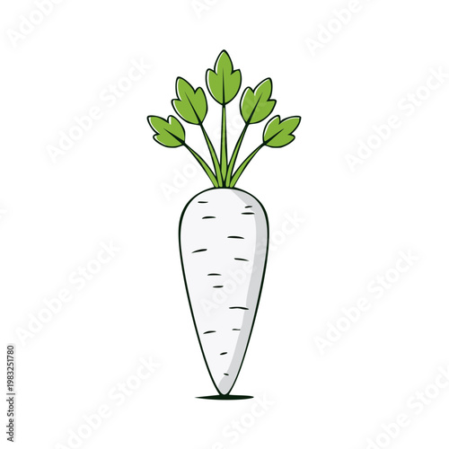 Fresh White Radish Vegetable with Green Leaves Healthy Food Ingredient Illustration