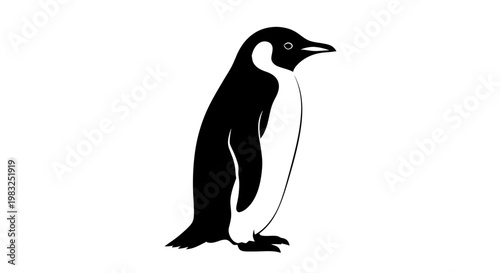 Stylized Penguin Silhouette isolated on white background