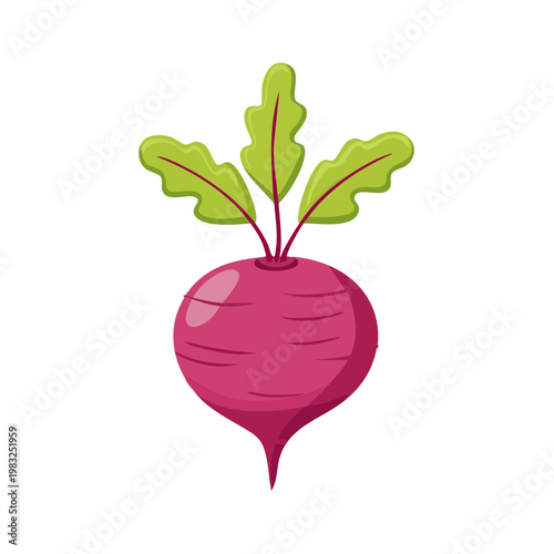 Brightly colored cartoon beet with vibrant green leaves isolated on white background