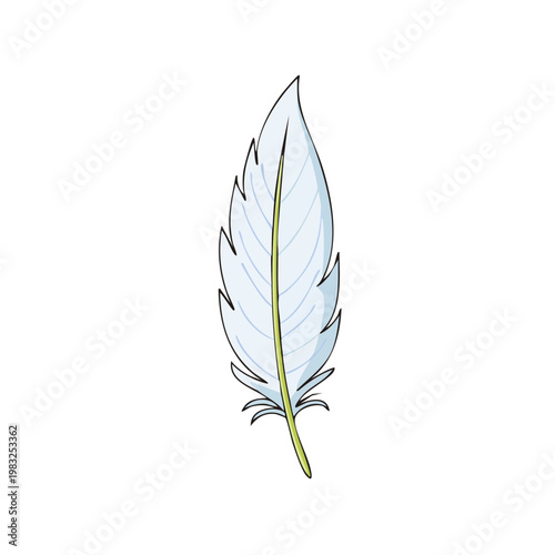 Delicate white feather with light green stem detailed illustration isolated on white