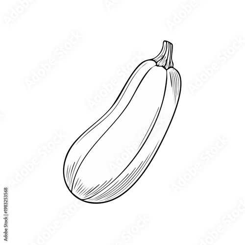 Black and white outline illustration of a single zucchini squash with subtle shading details