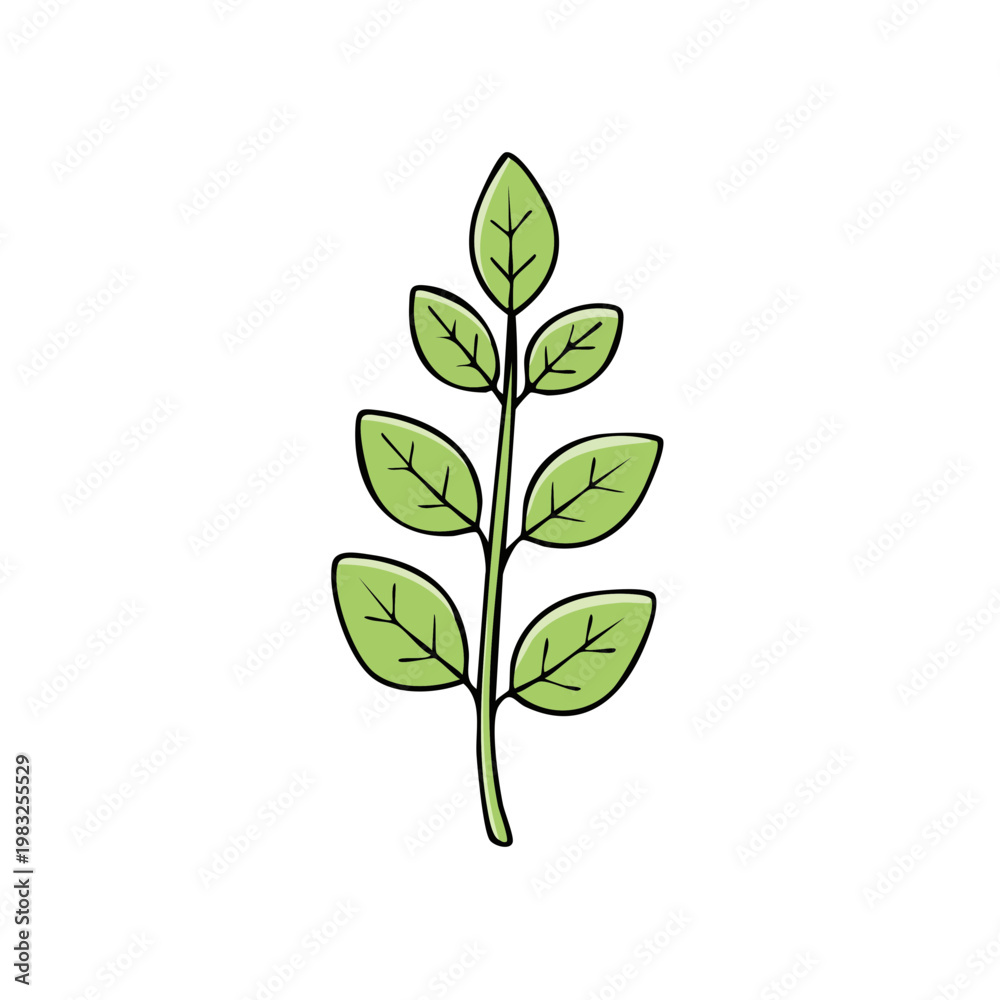 Fototapeta premium Hand Drawn Green Leafy Branch Simple Botanical Illustration