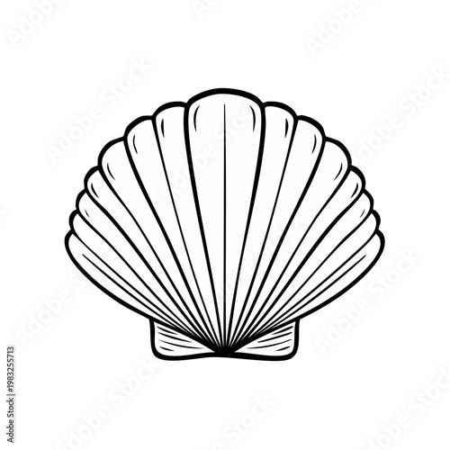 Stylized Outline of a Single Scallop Shell with Radial Ribbing and Curving Lines