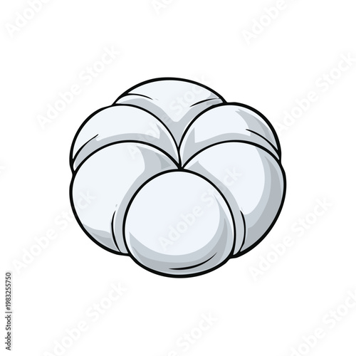 Stylized depiction of a white cotton boll showing its fluffy fibers and seed structure
