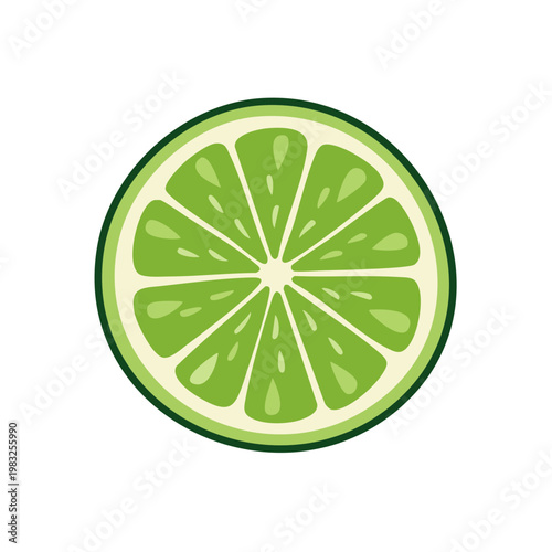 Vibrant green lime slice illustration with segments and rind detail