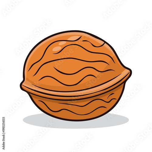 Single Walnut Illustration Simple Cartoon Style Healthy Nut Food Ingredient
