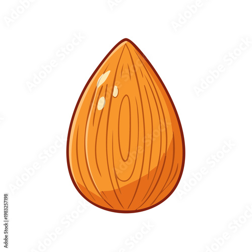 One single whole almond nut with its textured skin and smooth kernel in a simple illustration