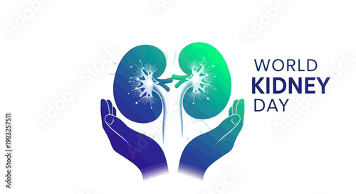 Kidney Health Awareness Medical Concept.