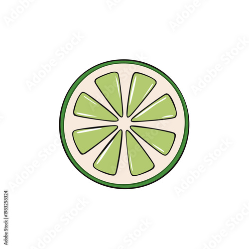 Hand drawn illustration of a juicy lime slice with green segments