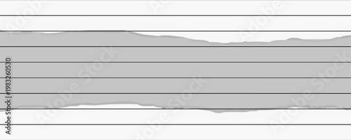 Ripped paper. Vector of ripped paper. the paper was ripped background. llustration eps 10