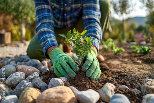 A gardener carefully plants a young seedling in a well-prepared garden bed.