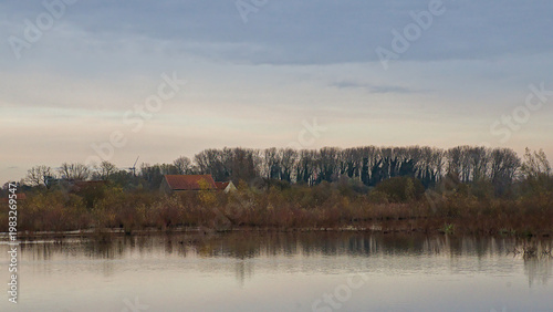marshland with bare trees and reed under a colourful evening sky in Bourgoyen nature reserve, Ghent, Flanders, Belgium 