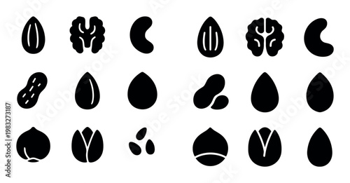Assorted nut seed silhouettes arranged on white
