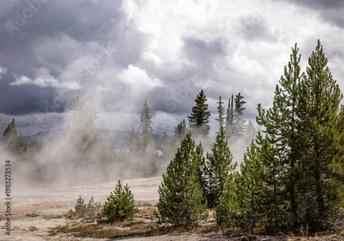 West Thumb Geyser Basin, Yellowstone Lake, Yellowstone National Park, Wyoming, USA