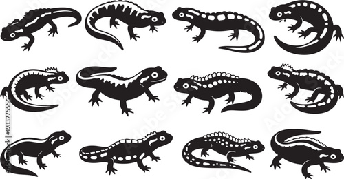 Set of salamander and lizard silhouettes. Black and white reptile icons collection. Vector illustrations of amphibians and lizards isolated on white.
