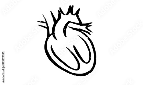 Human heart icon